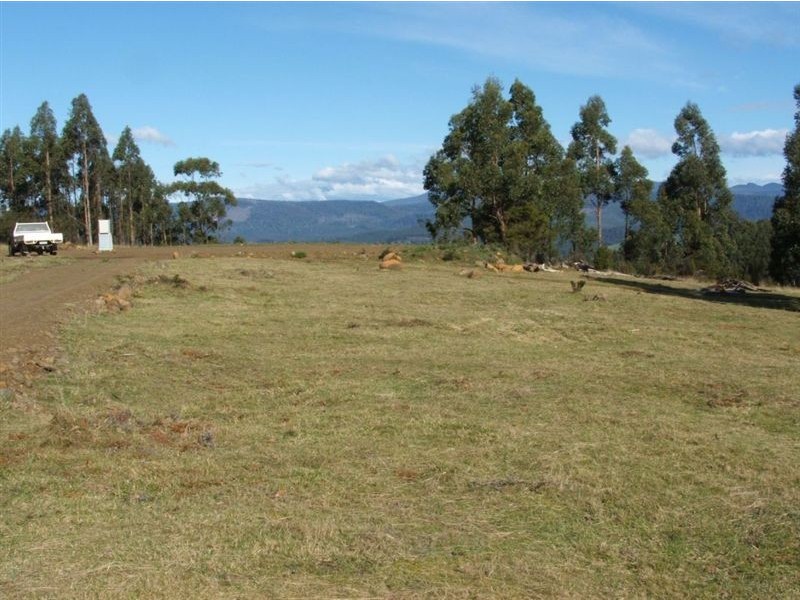 Lot 1/350 Harwoods Road, Castle Forbes Bay TAS 7116