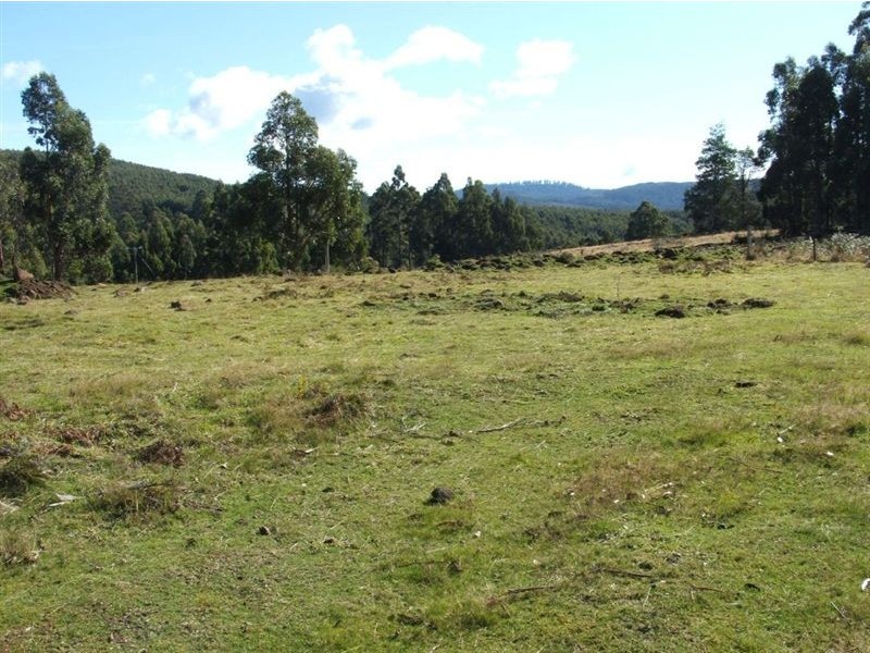 Lot 1/350 Harwoods Road, Castle Forbes Bay TAS 7116