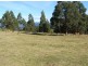 Lot 1/350 Harwoods Road, Castle Forbes Bay TAS 7116
