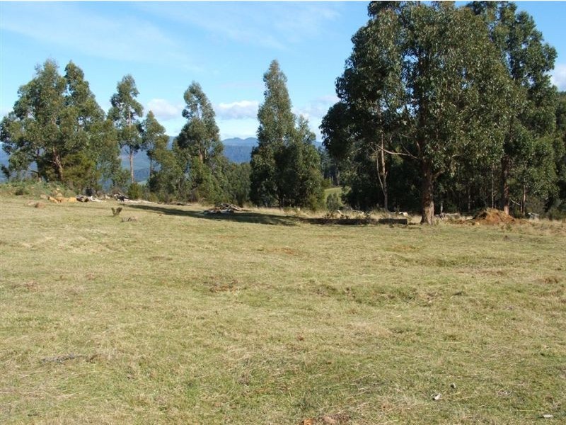 Lot 1/350 Harwoods Road, Castle Forbes Bay TAS 7116