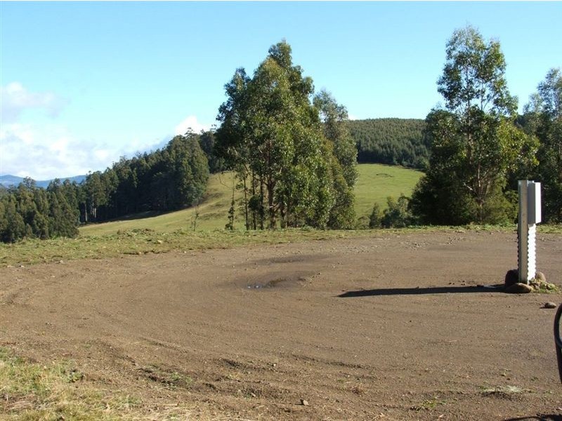 Lot 1/350 Harwoods Road, Castle Forbes Bay TAS 7116