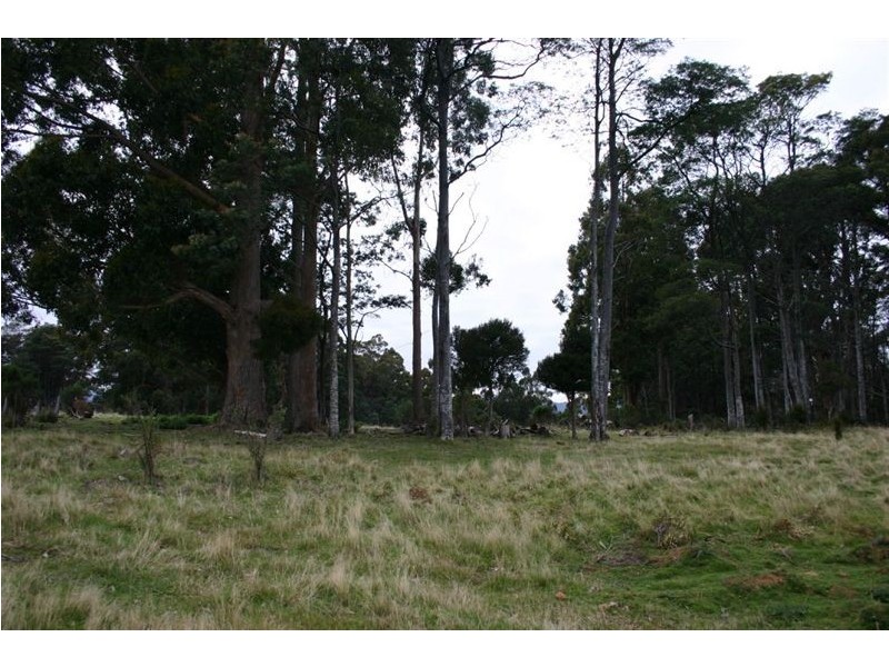 Lot 1/350 Harwoods Road, Castle Forbes Bay TAS 7116