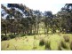 Lot 2 Dwyers Road, Port Huon TAS 7116