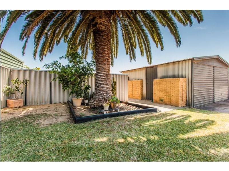 8 Carmody Street, Hamilton Hill WA 6163