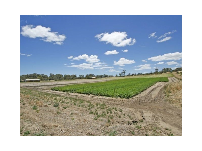 151 Moylan Road, Wattleup WA 6166