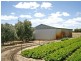 151 Moylan Road, Wattleup WA 6166