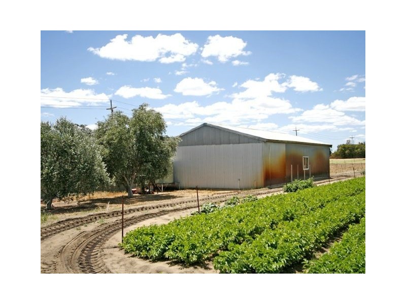 151 Moylan Road, Wattleup WA 6166