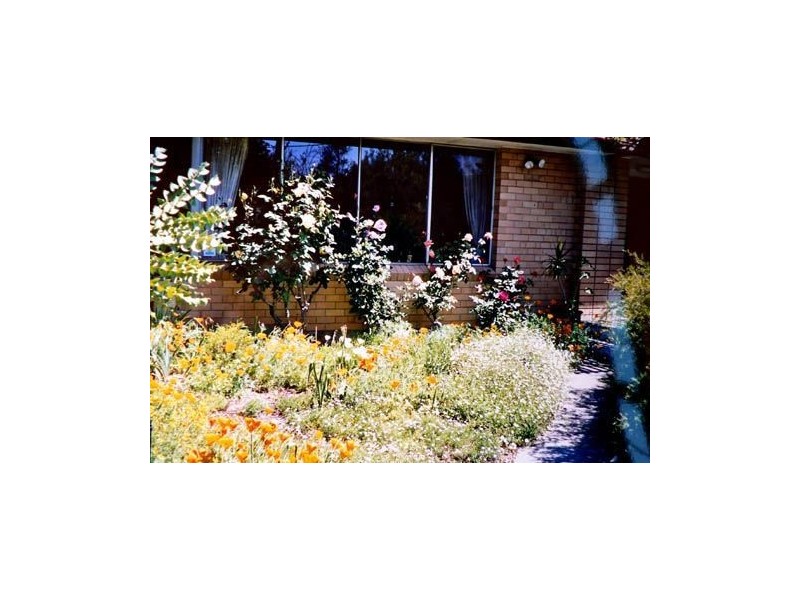 193 Healy Road, Hamilton Hill WA 6163