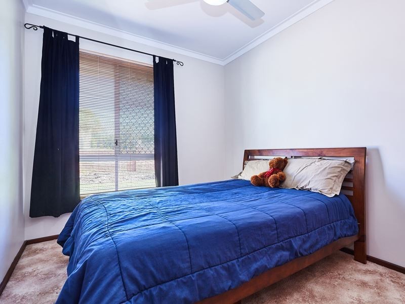 38 Ionesco Street, Spearwood WA 6163