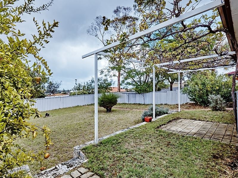 19 Stanyford Place, Hamilton Hill WA 6163