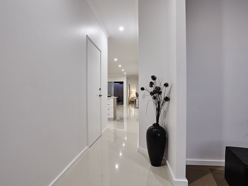 14B England Street, Hamilton Hill WA 6163