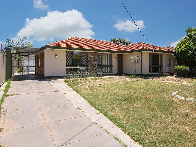 63 Davilak Ave, Hamilton Hill WA 6163