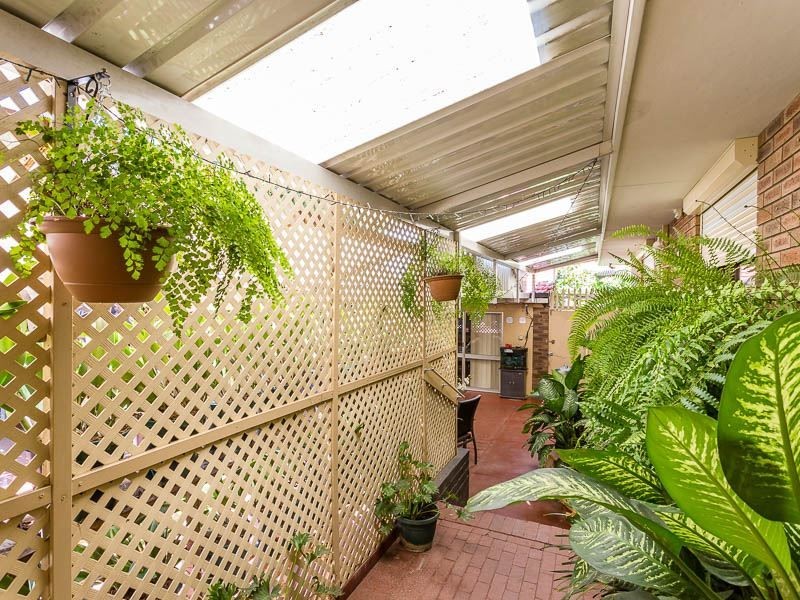 6 Kingsley Close, Spearwood WA 6163