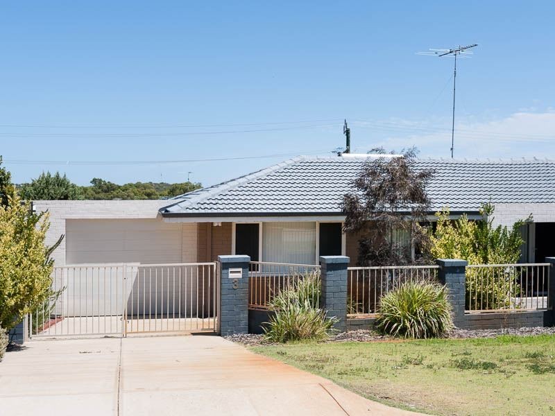 3 Harfleur Place, Hamilton Hill WA 6163