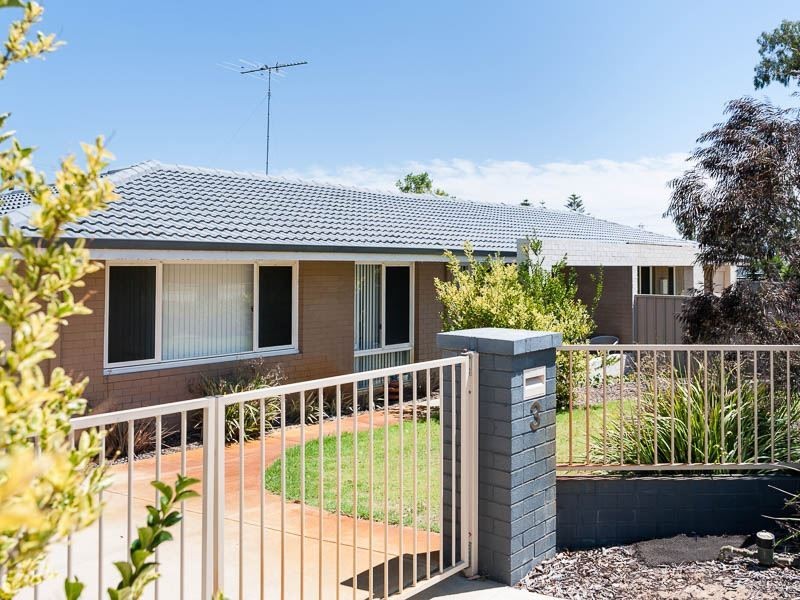 3 Harfleur Place, Hamilton Hill WA 6163
