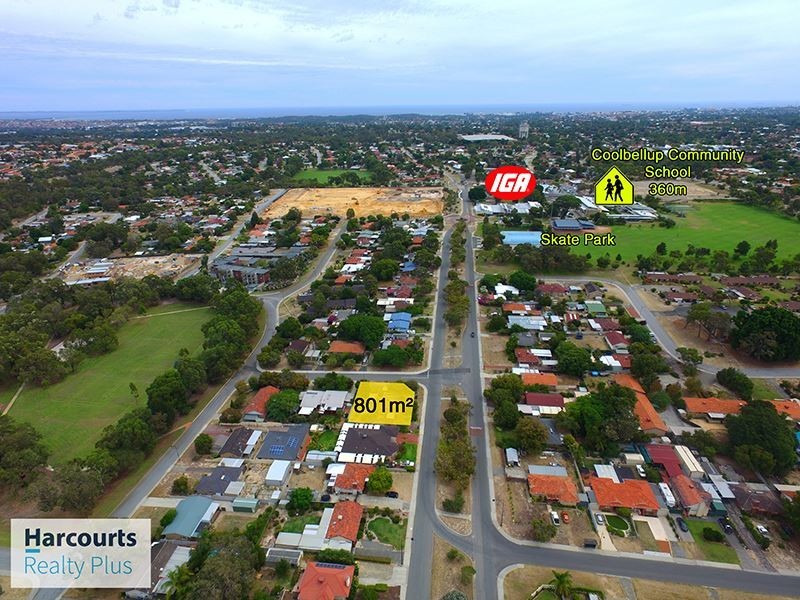119 Cordelia Avenue, Coolbellup WA 6163