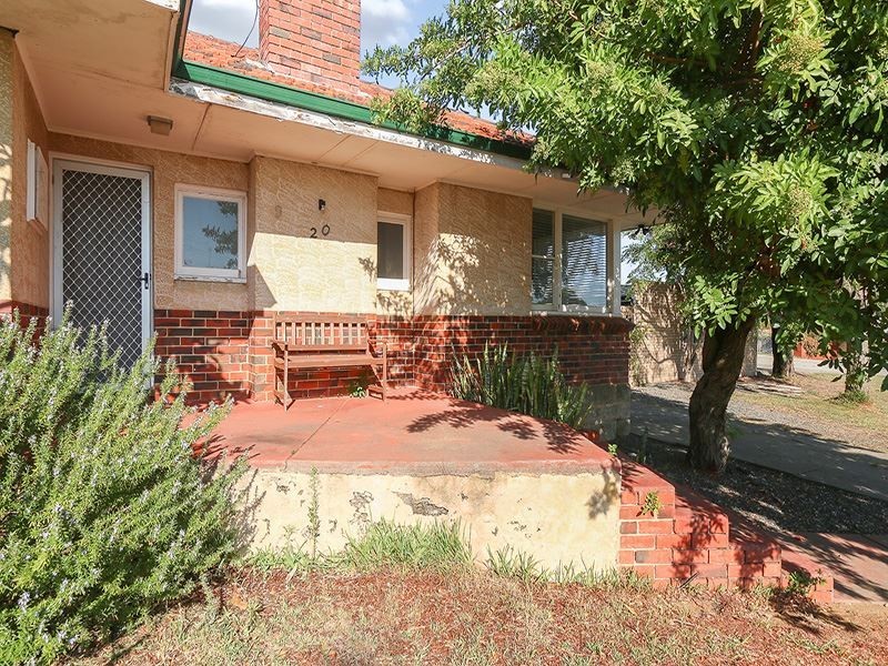 20 Arthur Road, Hamilton Hill WA 6163