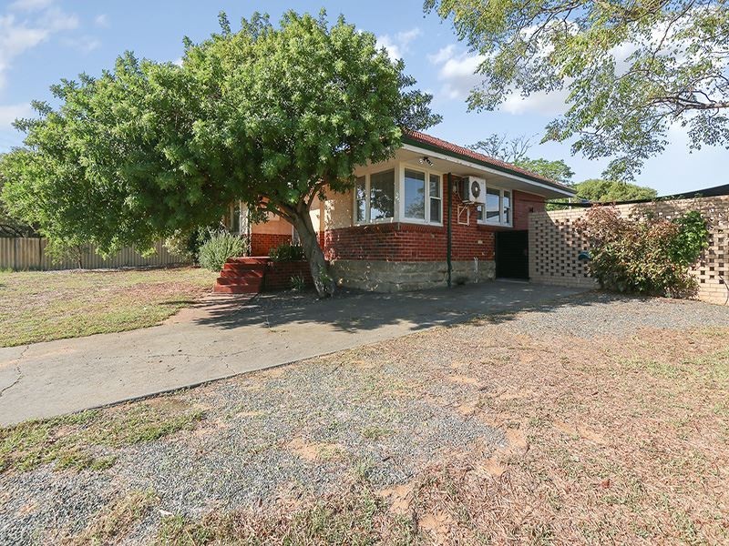 20 Arthur Road, Hamilton Hill WA 6163