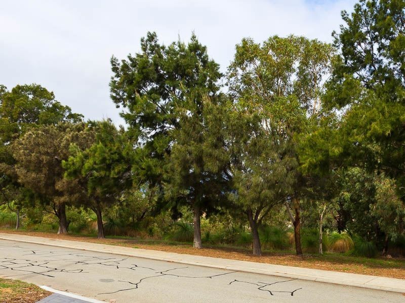 6A Nineham Ave, Spearwood WA 6163