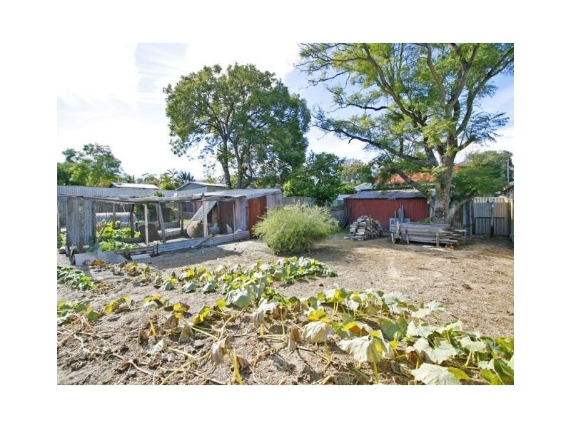 11 Chamberlain Street, O’connor WA 6163