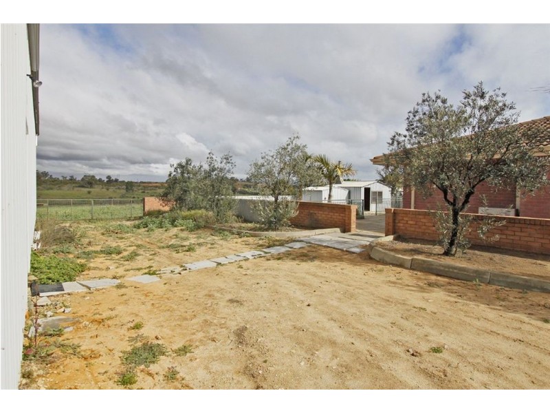 163 Dalison Avenue, Wattleup WA 6166