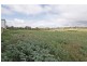 163 Dalison Avenue, Wattleup WA 6166