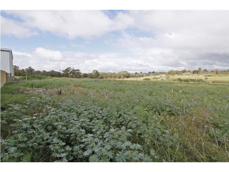 163 Dalison Avenue, Wattleup WA 6166