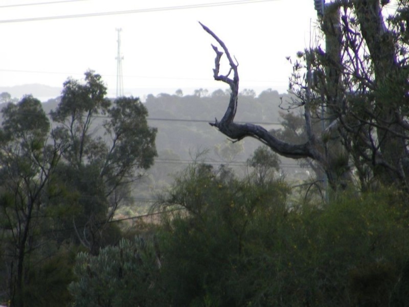 4 Sparrowhawk View, Beeliar WA 6164