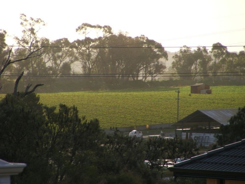 4 Sparrowhawk View, Beeliar WA 6164