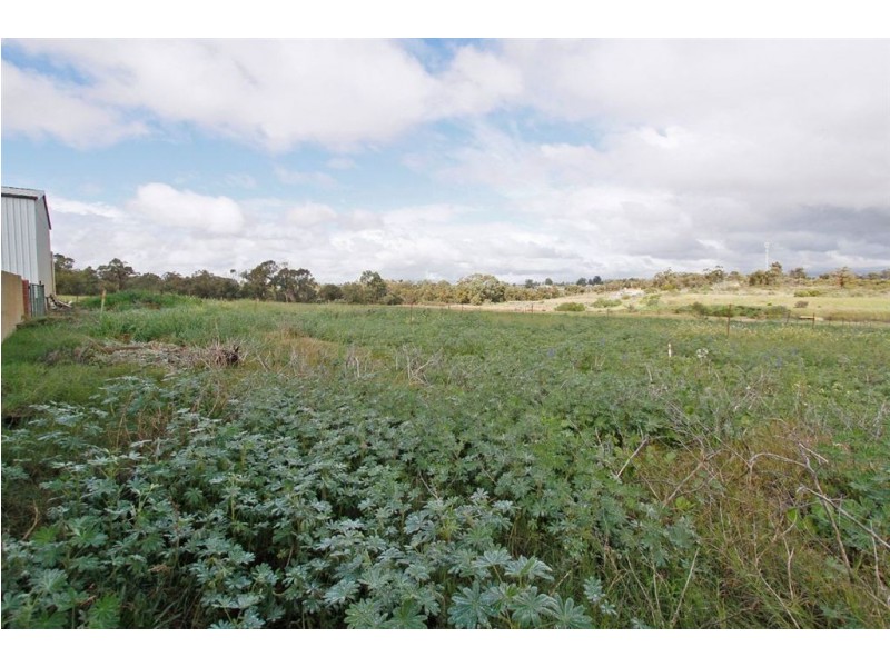 163 Dalison Ave, Wattleup WA 6166