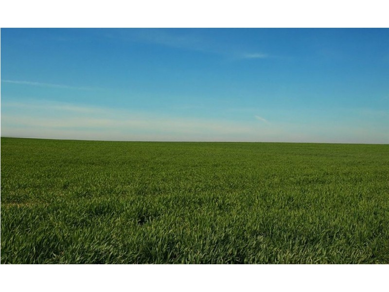 10 East Road, Shoalwater WA 6169