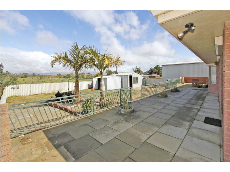 163 Dalison Avenue, Wattleup WA 6166