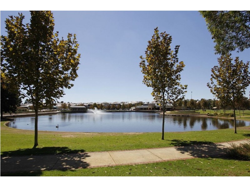 19 Shrike Lane, Beeliar WA 6164