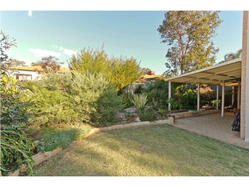 21 Paddington Court, Bibra Lake WA 6163
