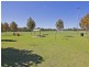 19 Shrike Lane, Beeliar WA 6164