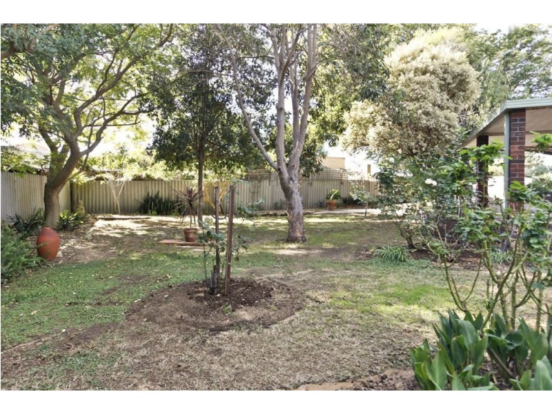 b/6 Malacari Court, Hamilton Hill WA 6163