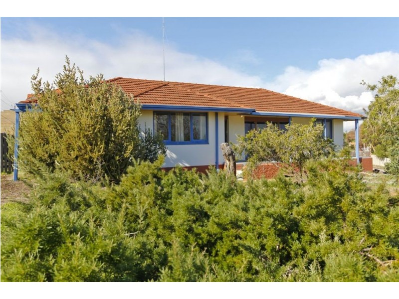 3 Edeline Street, Spearwood WA 6163