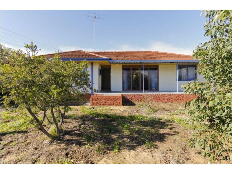 3 Edeline Street, Spearwood WA 6163