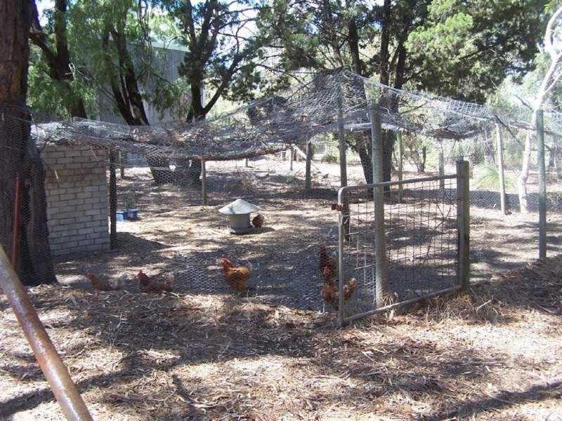 234 Henderson Road, Munster WA 6166