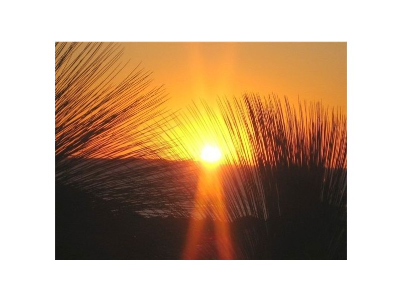 3 Bayview Terrace, Yangebup WA 6164