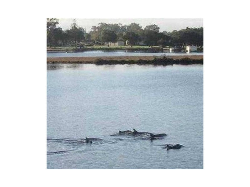 23/19 San Marco Quays, Halls Head WA 6210