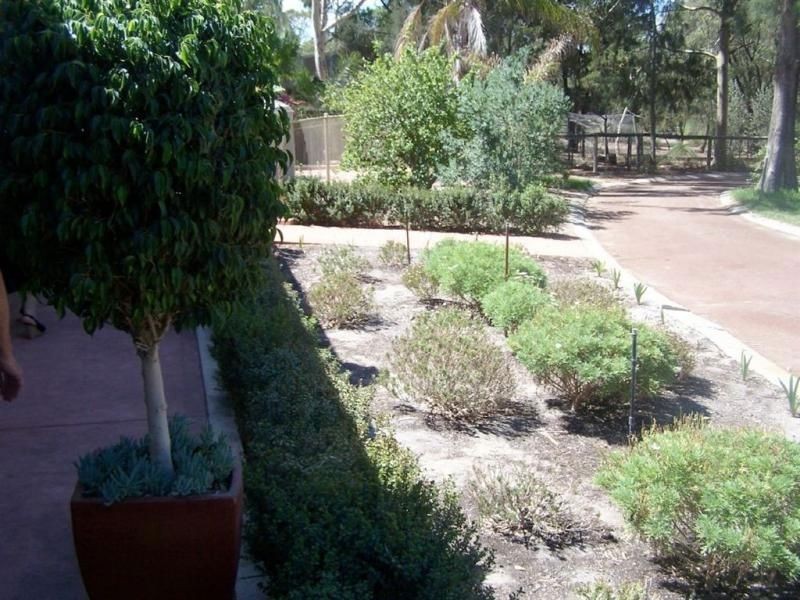 234 Henderson Road, Munster WA 6166