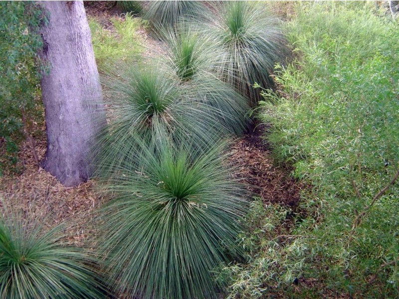 19 Henderson Road, Munster WA 6166