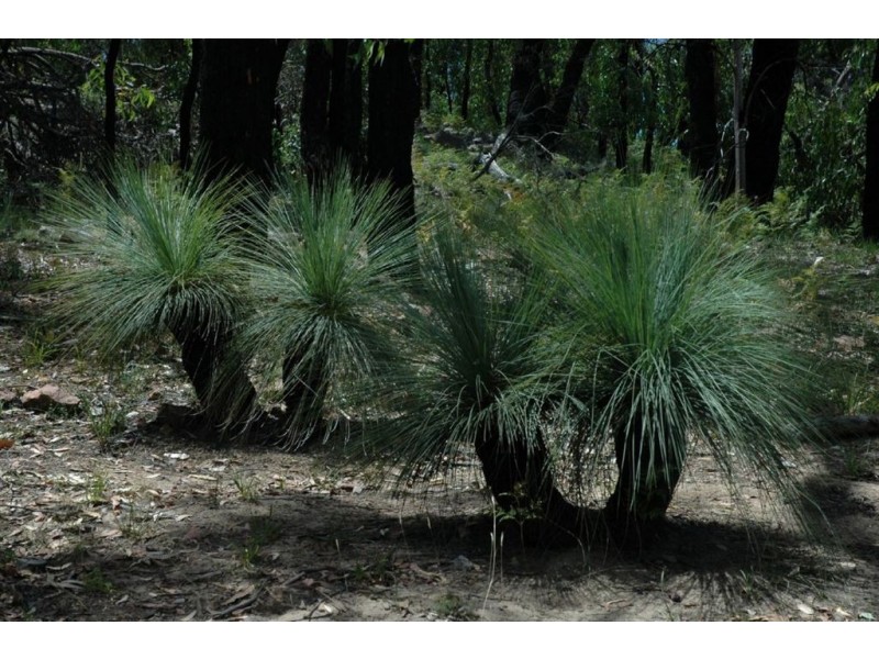 19 Henderson Road, Munster WA 6166