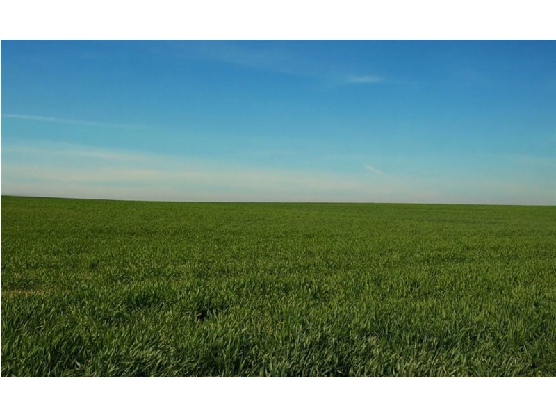 7 Patriot Link, North Coogee WA 6163