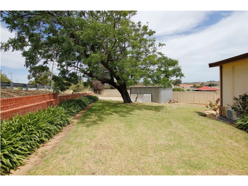 1 Edeline Street, Spearwood WA 6163