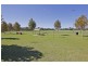 19 Shrike Lane, Beeliar WA 6164