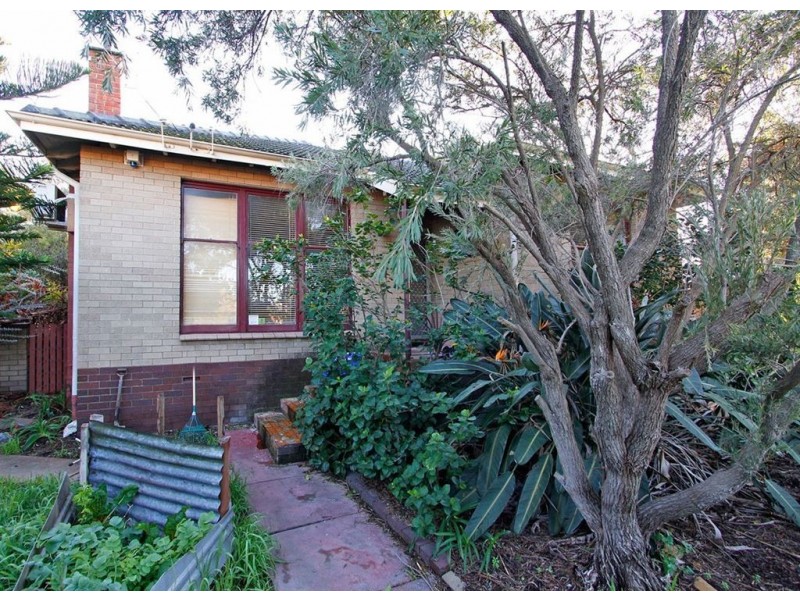 16 Winterfold Road, Hilton WA 6163