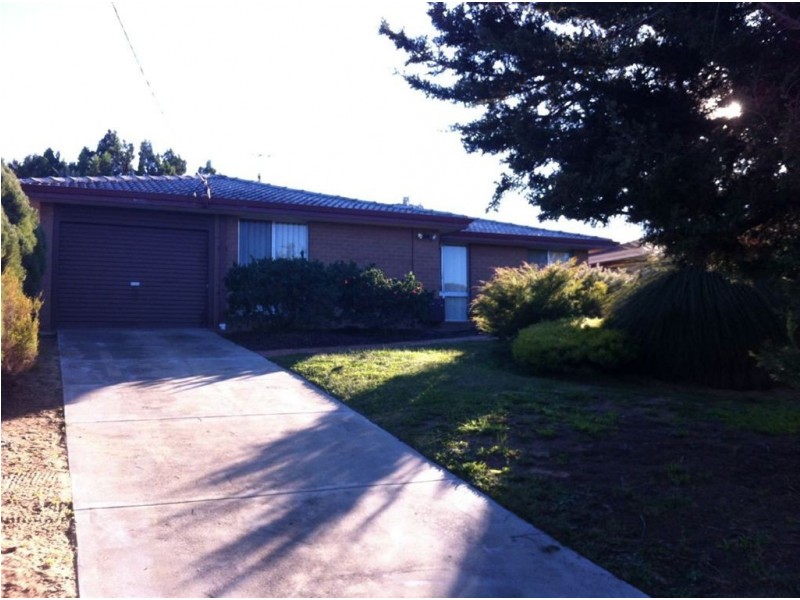 16 Nineham Avenue, Spearwood WA 6163