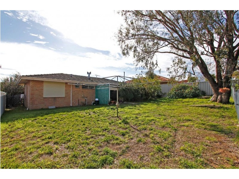 99 Jean Street, Hamilton Hill WA 6163